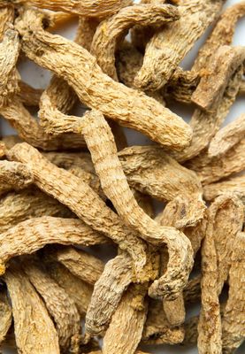 天麻的吃法 吃天麻需注意的事項(xiàng)