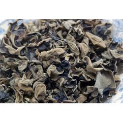 野生天麻供應 秦嶺山脈農產品經濟實惠 東陽市野生天麻